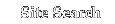 Site Search